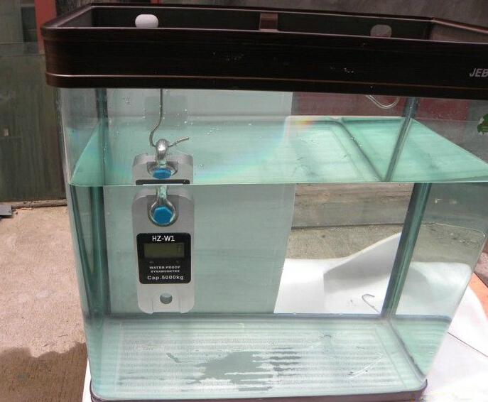 ERT-3吨/30K拉力计_定制3T防水测力仪价格