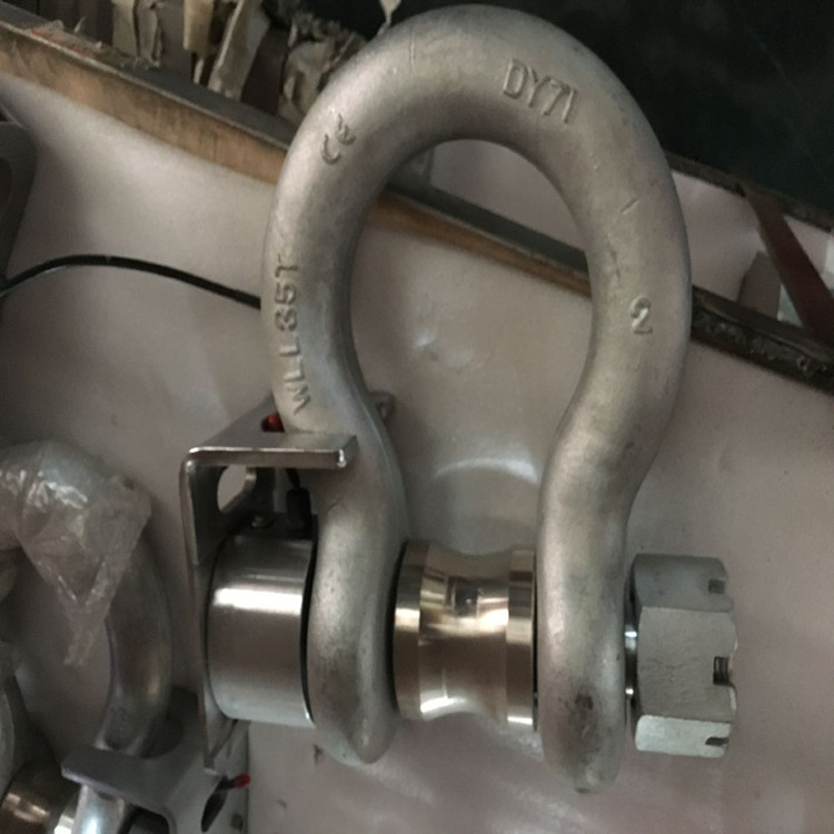 DL-W-30轴销式称重测力仪、无线800米传输拉力计